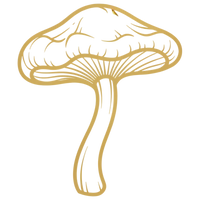 Reishi